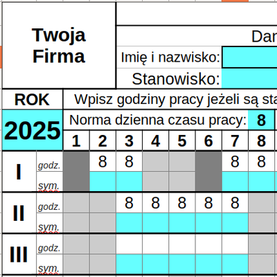 zrzut ekranu karta czasu pracy